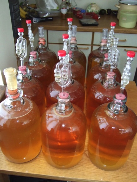 Fermenting the cider